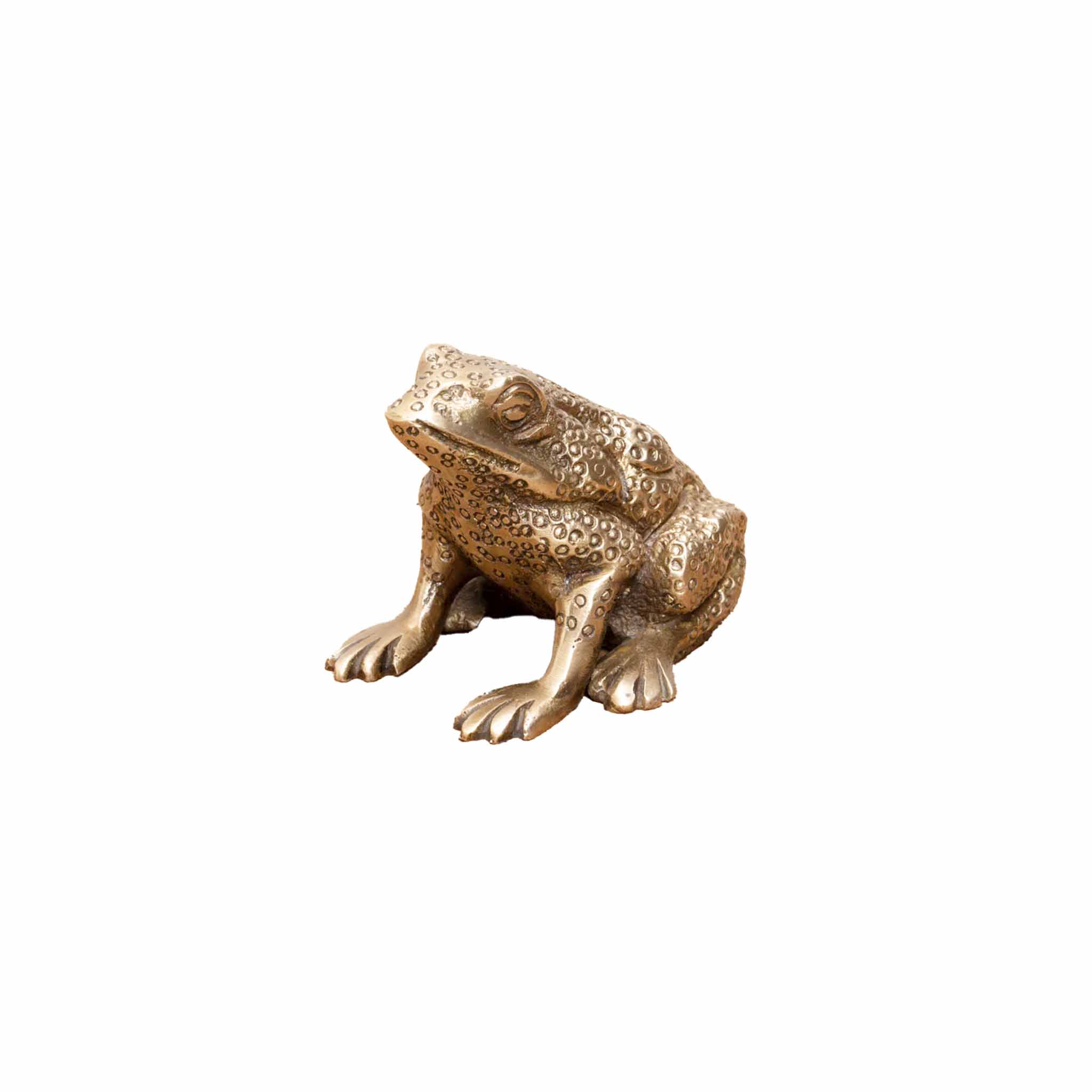 CHEHOMA FROG SHAPED BOTTLE OPENER – monsieur marcel gourmet market
