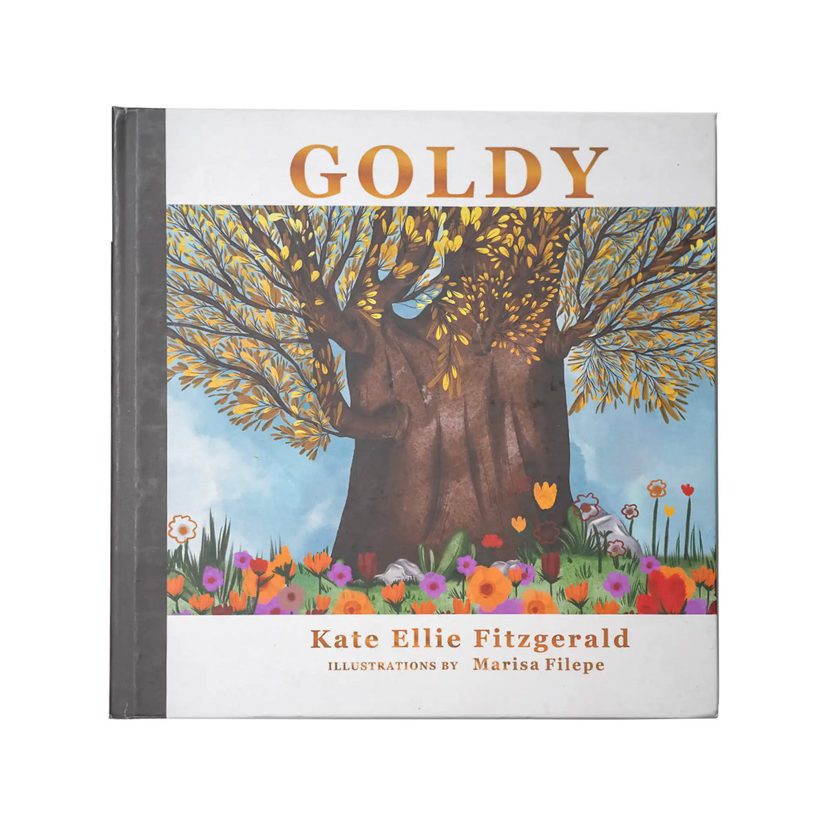 GOLDY BOOK BY KATE ELLIE FITZGERALD
