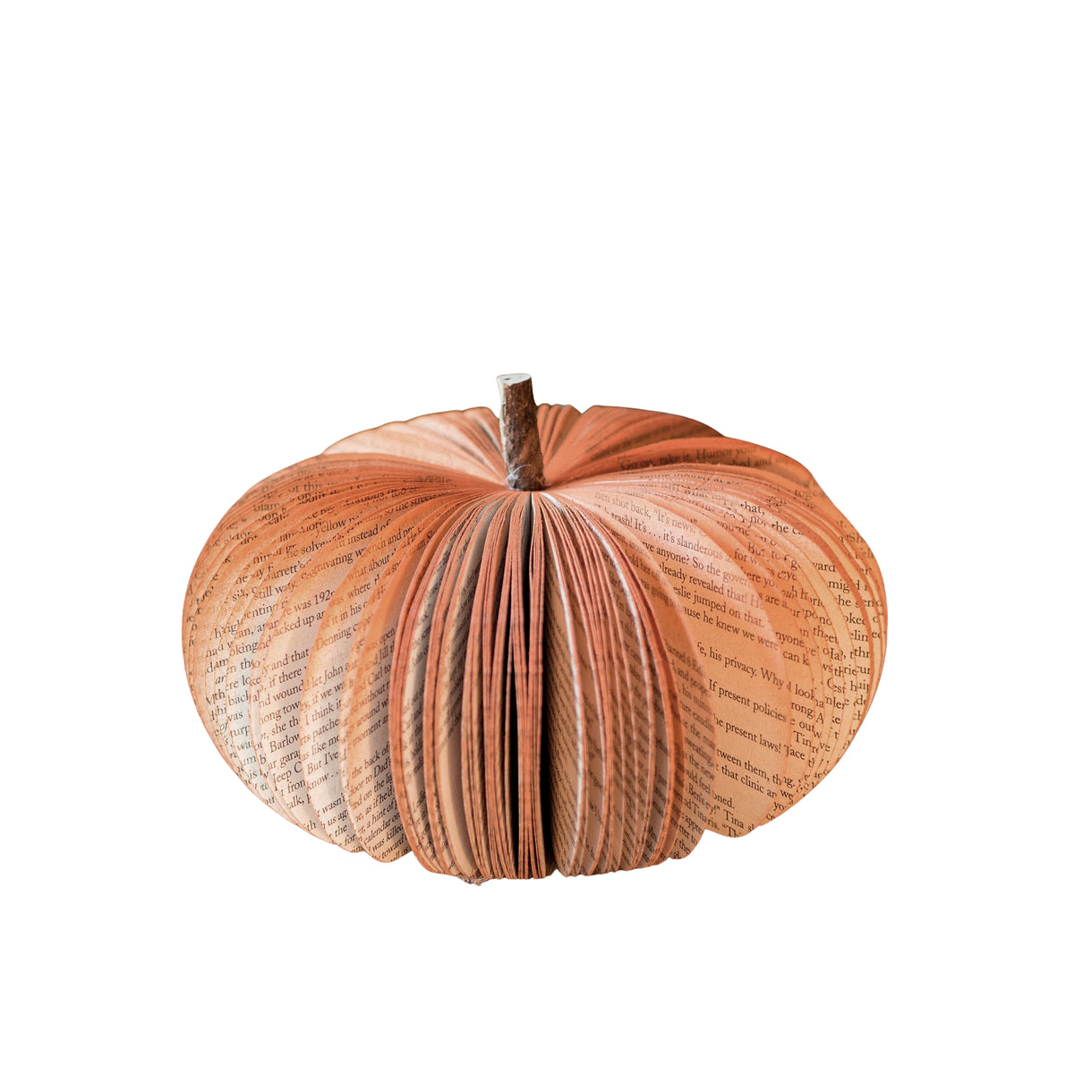 ROOT TO VINE BOOK PUMPKIN MEDIUM