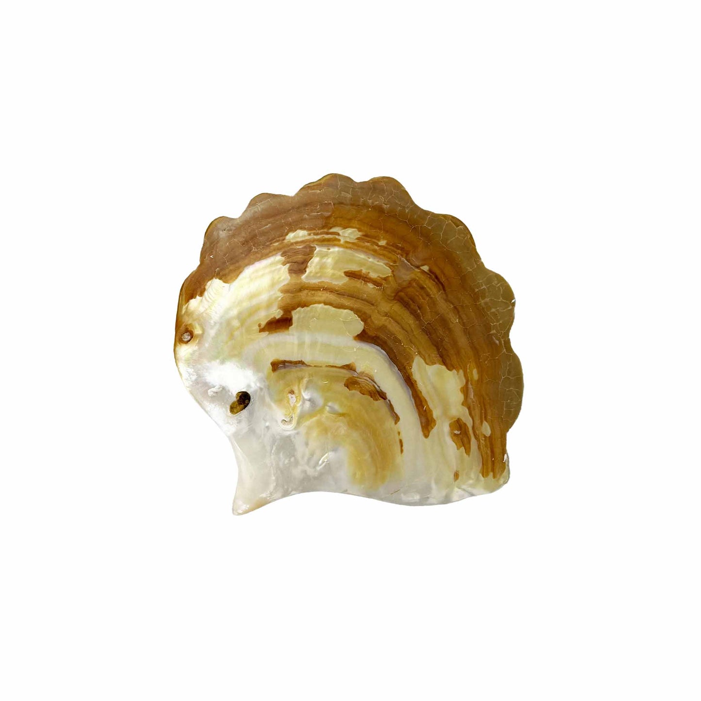 ANDAMAN LOTUS LEAF LARGE PLATE