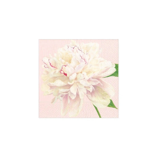 CASPARI DUCHESS PEONIE BLUSH COCKATIL NAPKINS 20 COUNT