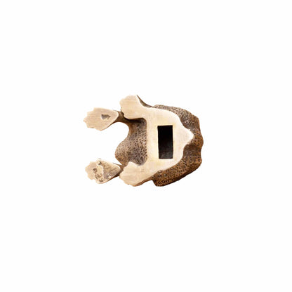 CHEHOMA FROG SHAPED BOTTLE OPENER