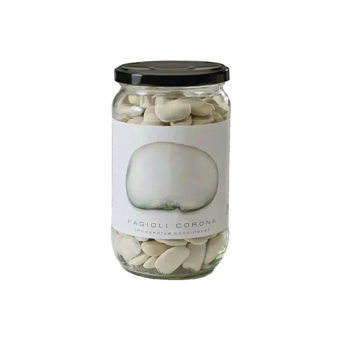 PRUNOTTO CORONA BEANS 500g
