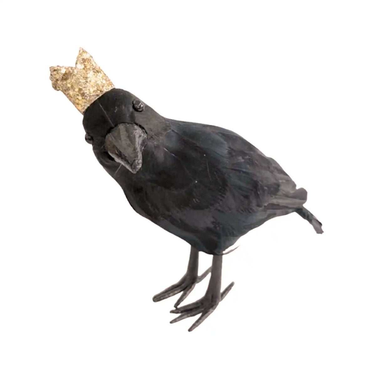FEATHERED FOAM CROWNED CROW