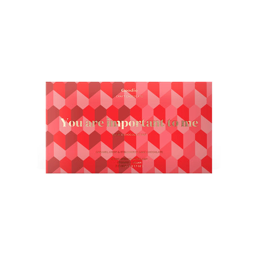 GOODIO YOU ARE IMPORTANT TO ME DOUBLE CHOCOLATE BAR 2 x 48g