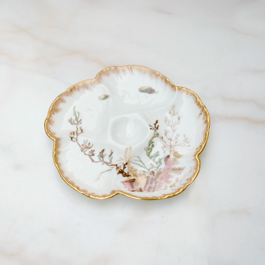 VINTAGE LIMOGES OYSTER PLATE - LIGHT PINK CONCH SHELL