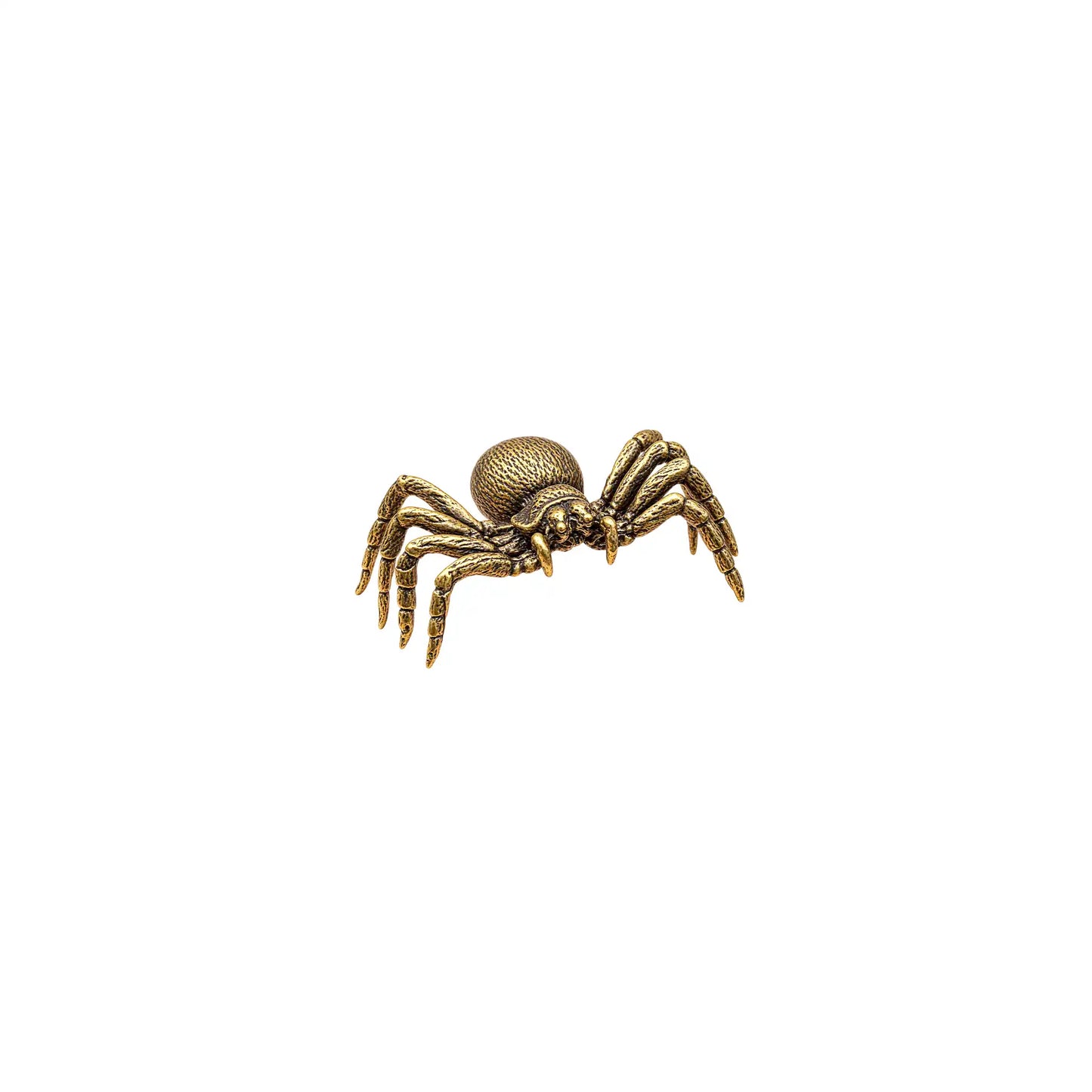 BRASS SPIDER ORNAMENT