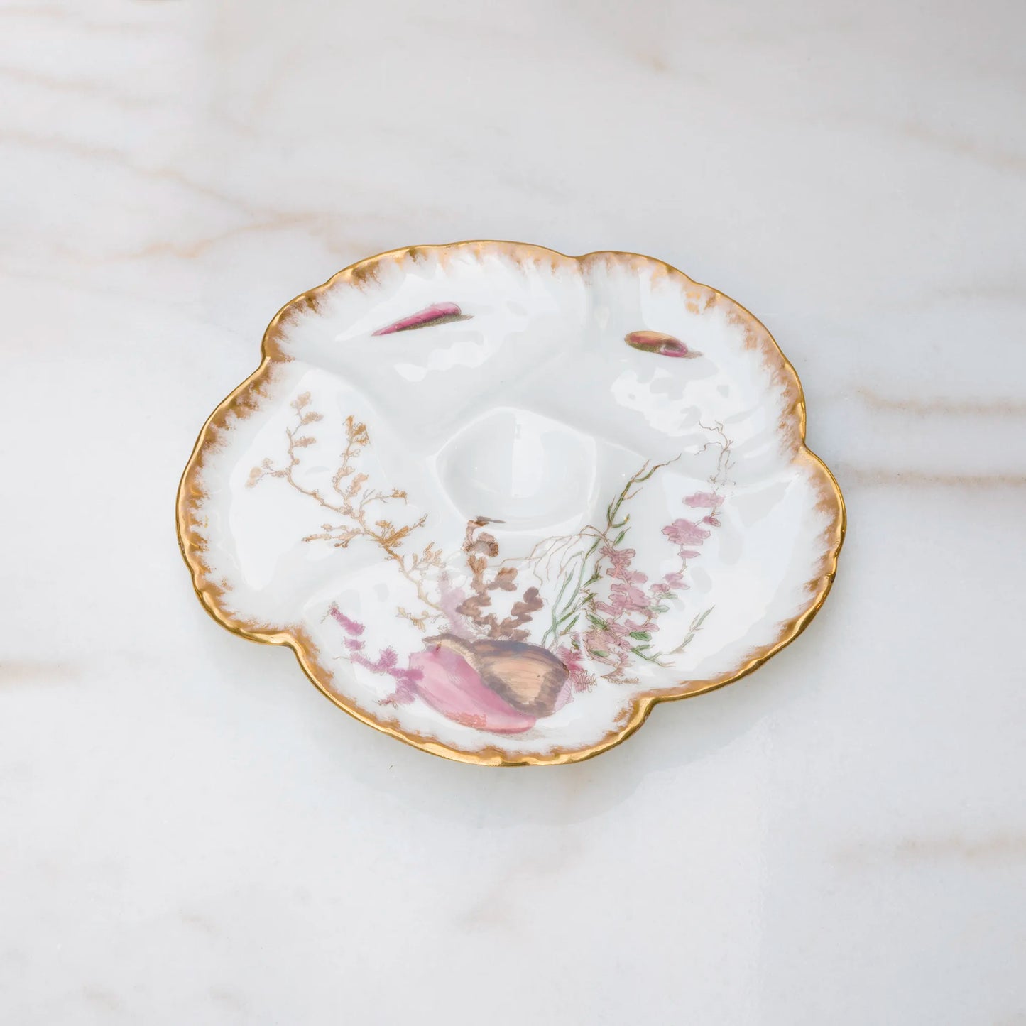Limoges oyster plate front featuring pink conch shell center