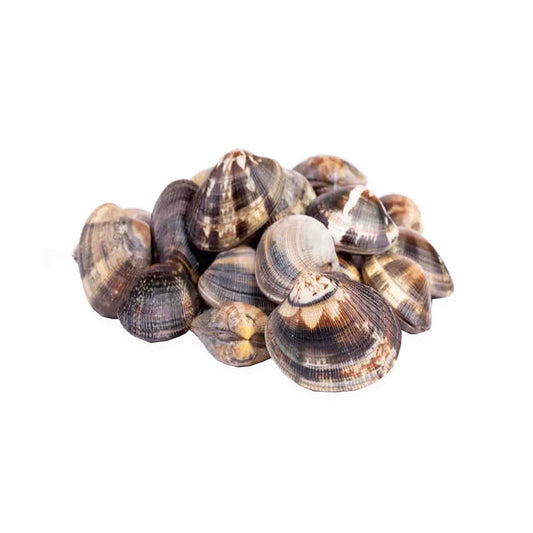 Manilla Clams