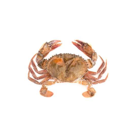Soft Shell Crab