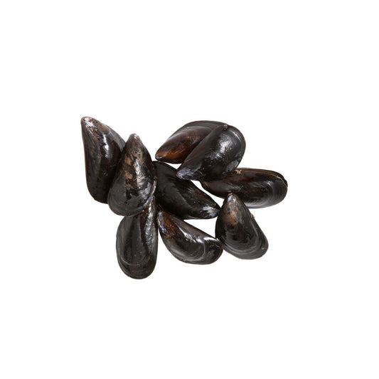 USA Penn Cove Mussels