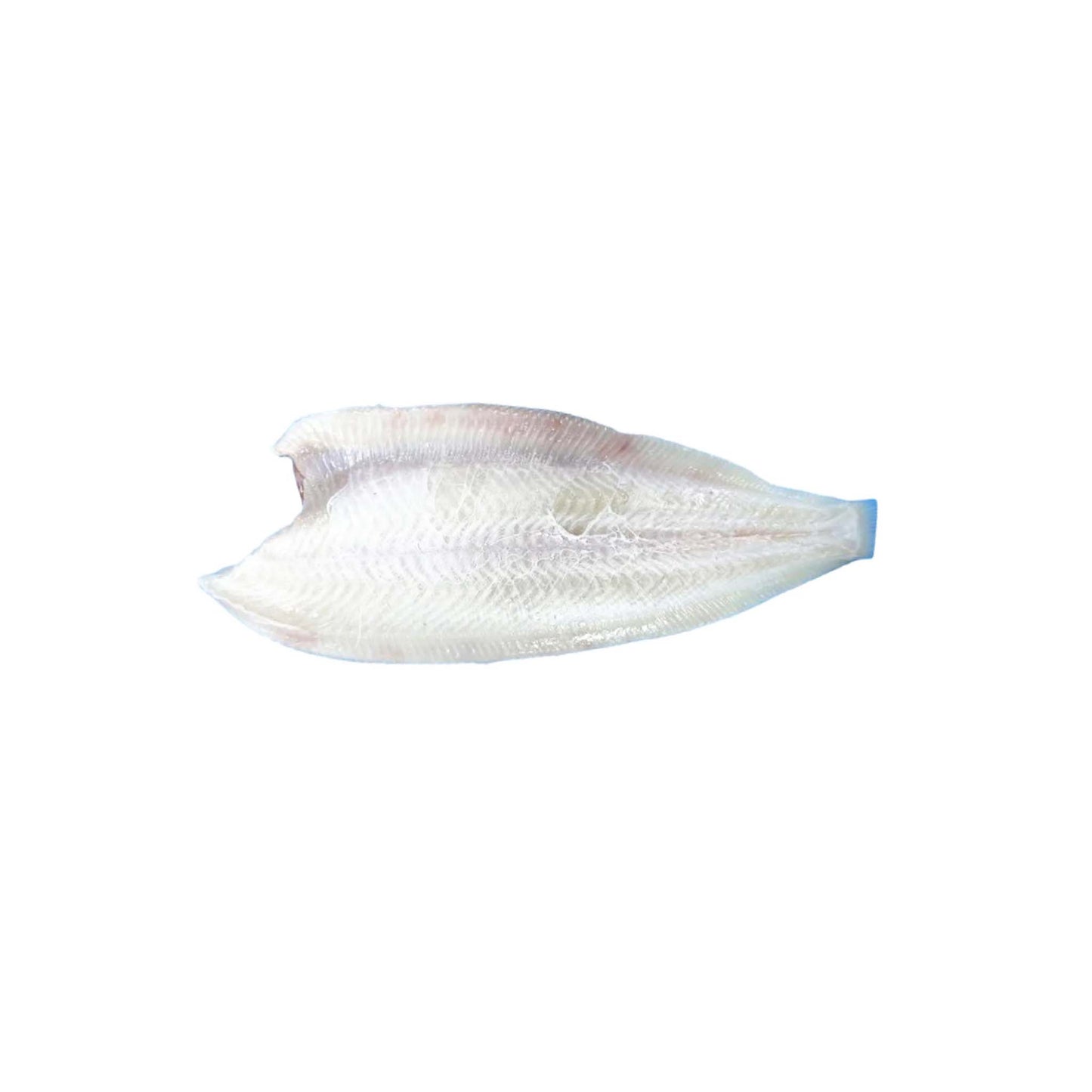 Whole Gutted Sole 400/600gr